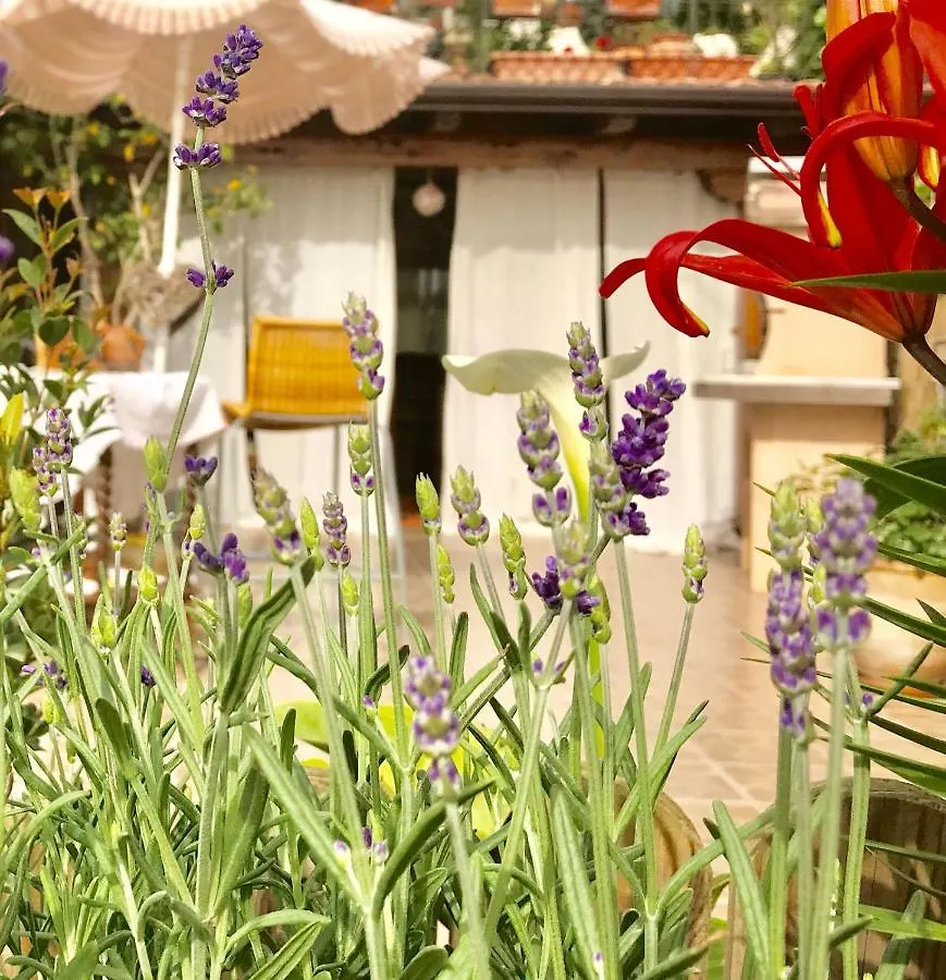 B&B La Vita E Bella Aci Trezza